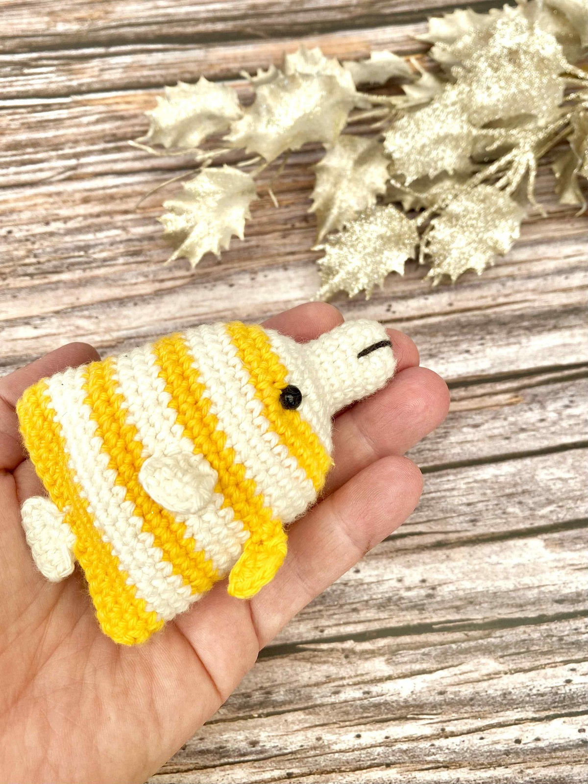 Pinzetten FischBonnie