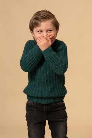 Der Leuchtturmpullover