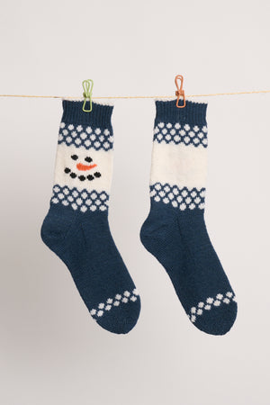 FRS8 Herr Schneemann Anleitung